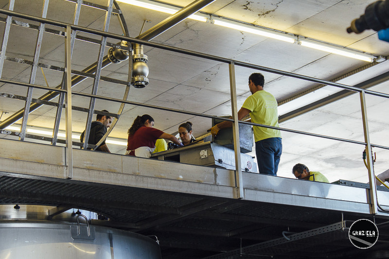 Campo_Maior_Originais-001004.jpg Campo_Maior_Originais-001004.jpg