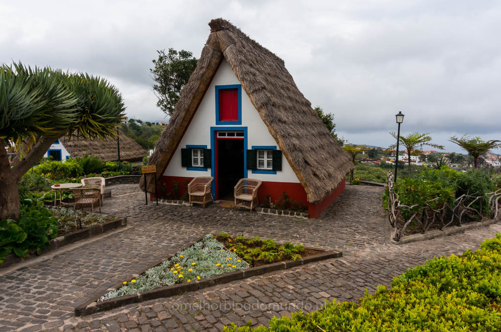 DSC00130.jpg DSC00130.jpg