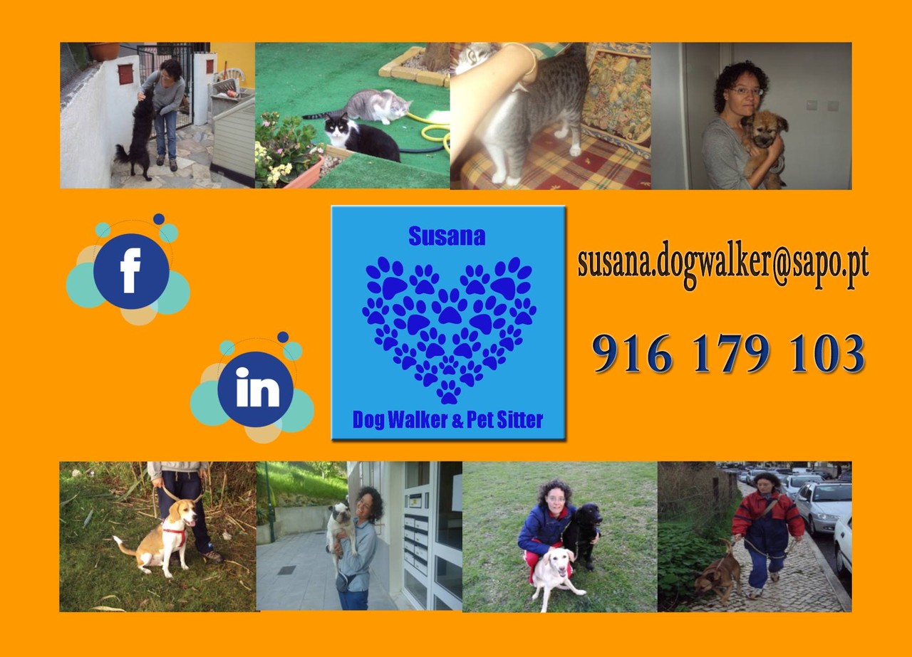 18700753_1707100429318425_7138447830697109468_o.jp