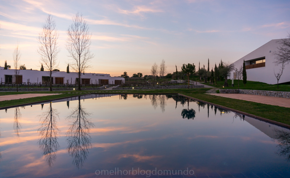 DSC08050.jpg DSC08050.jpg