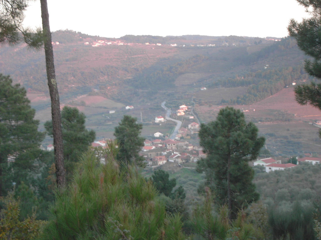 vista-castanheiro.JPG