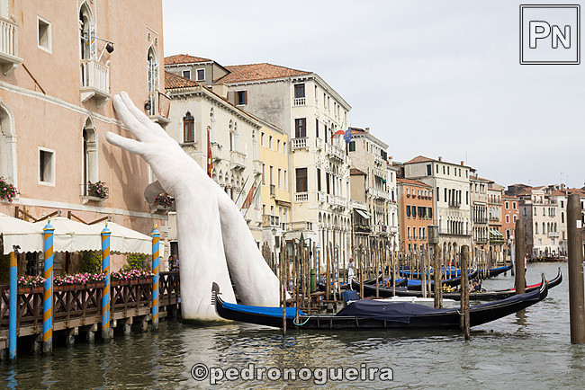 _MG_1088 650px.jpg _MG_1088 650px.jpg