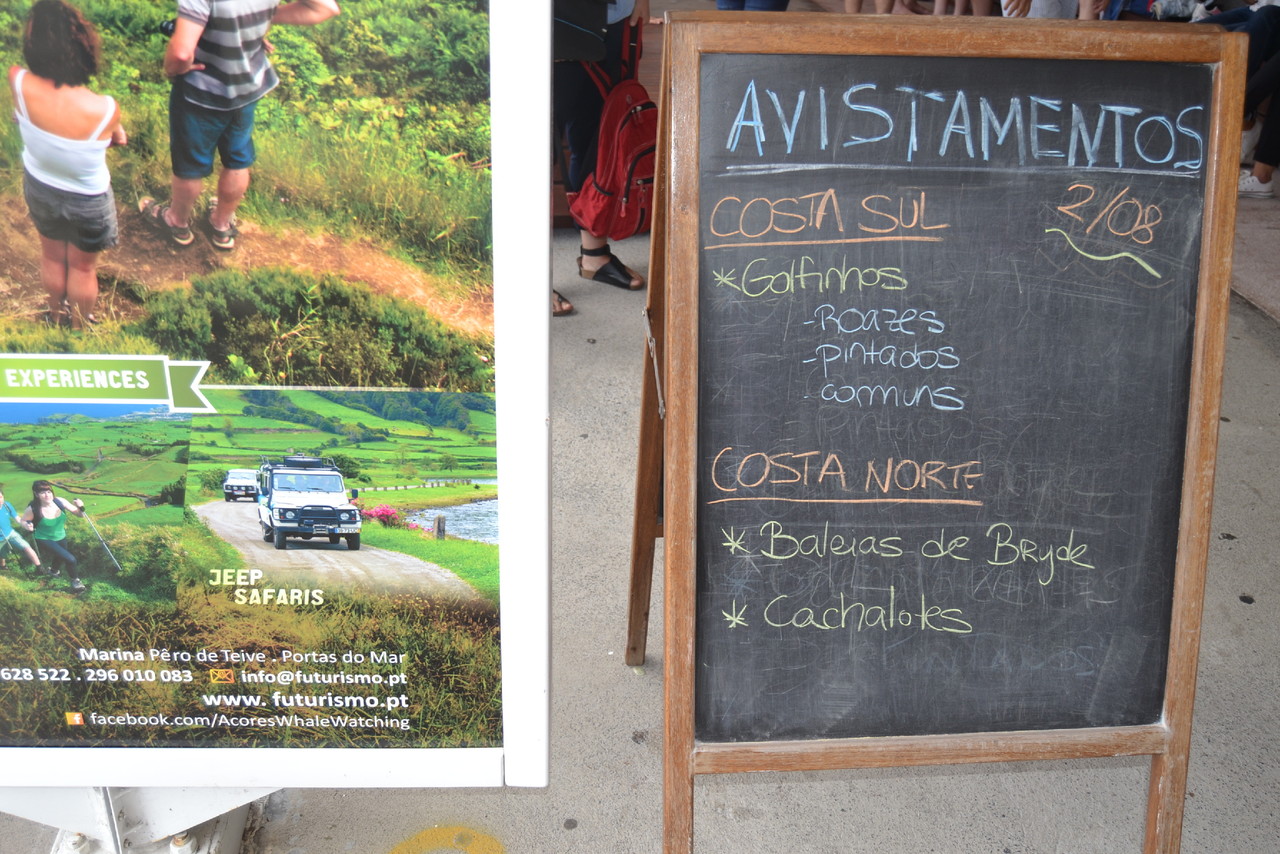 DSC_0724.JPG DSC_0724.JPG