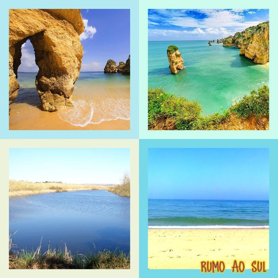 10433084_403522326486833_3838847225821892063_n.jpg 10433084_403522326486833_3838847225821892063_n.jpg