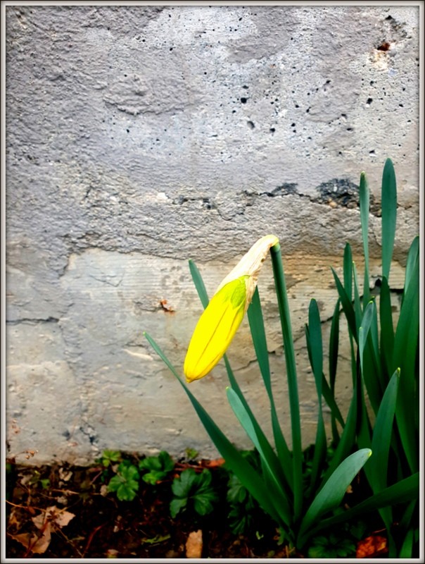 20200309_161708.jpg 20200309_161708.jpg