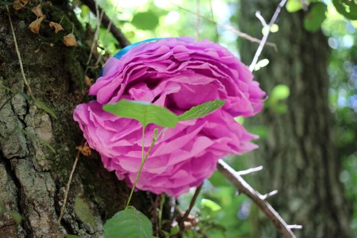 Empoderamento feminino - a despedida de solteira9.