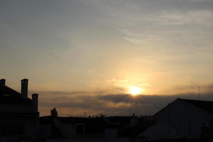 Quarentena - dia 41a.jpg Quarentena - dia 41a.jpg