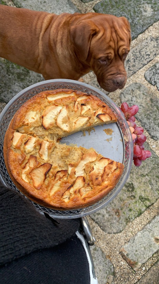 FAEE794C-9FDE-4977-9DA2-7DBC33AE0BAB.JPG FAEE794C-9FDE-4977-9DA2-7DBC33AE0BAB.JPG