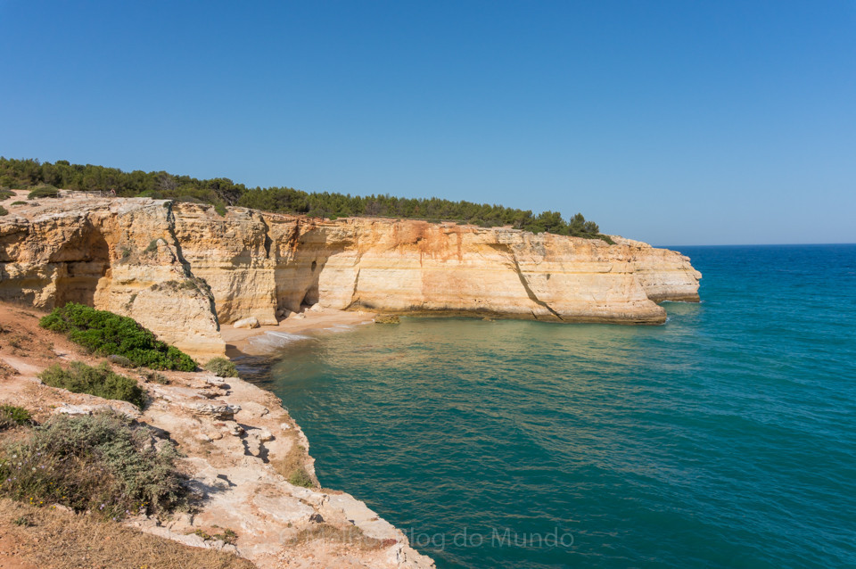 DSC00005.jpg DSC00005.jpg