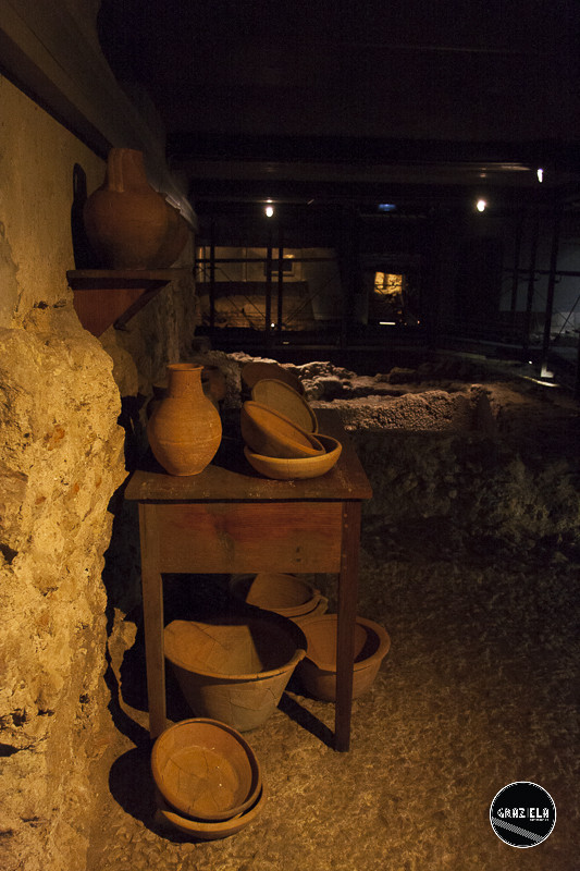 _MG_9729-23.jpg _MG_9729-23.jpg