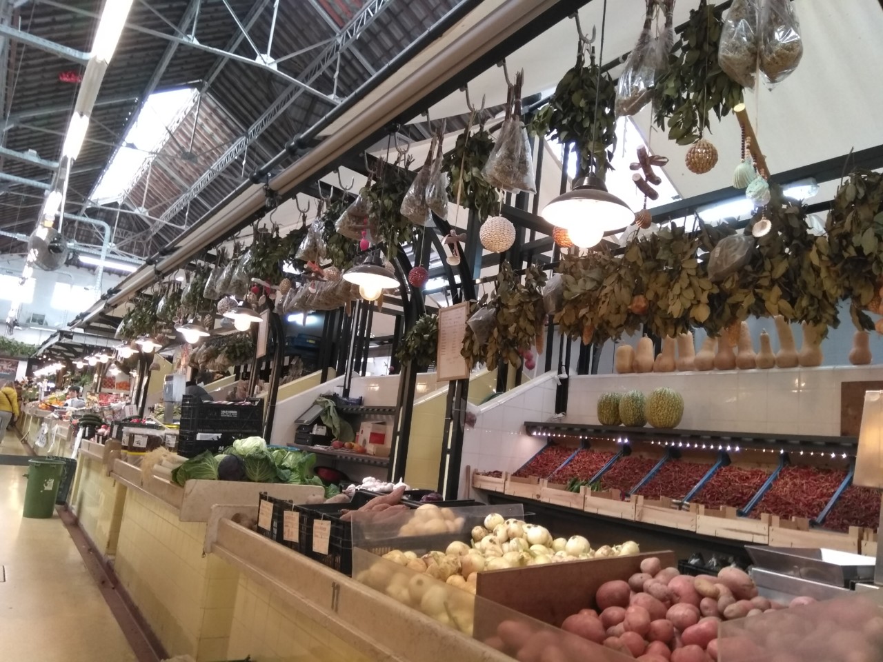 IMG_20180410_141111.jpg IMG_20180410_141111.jpg