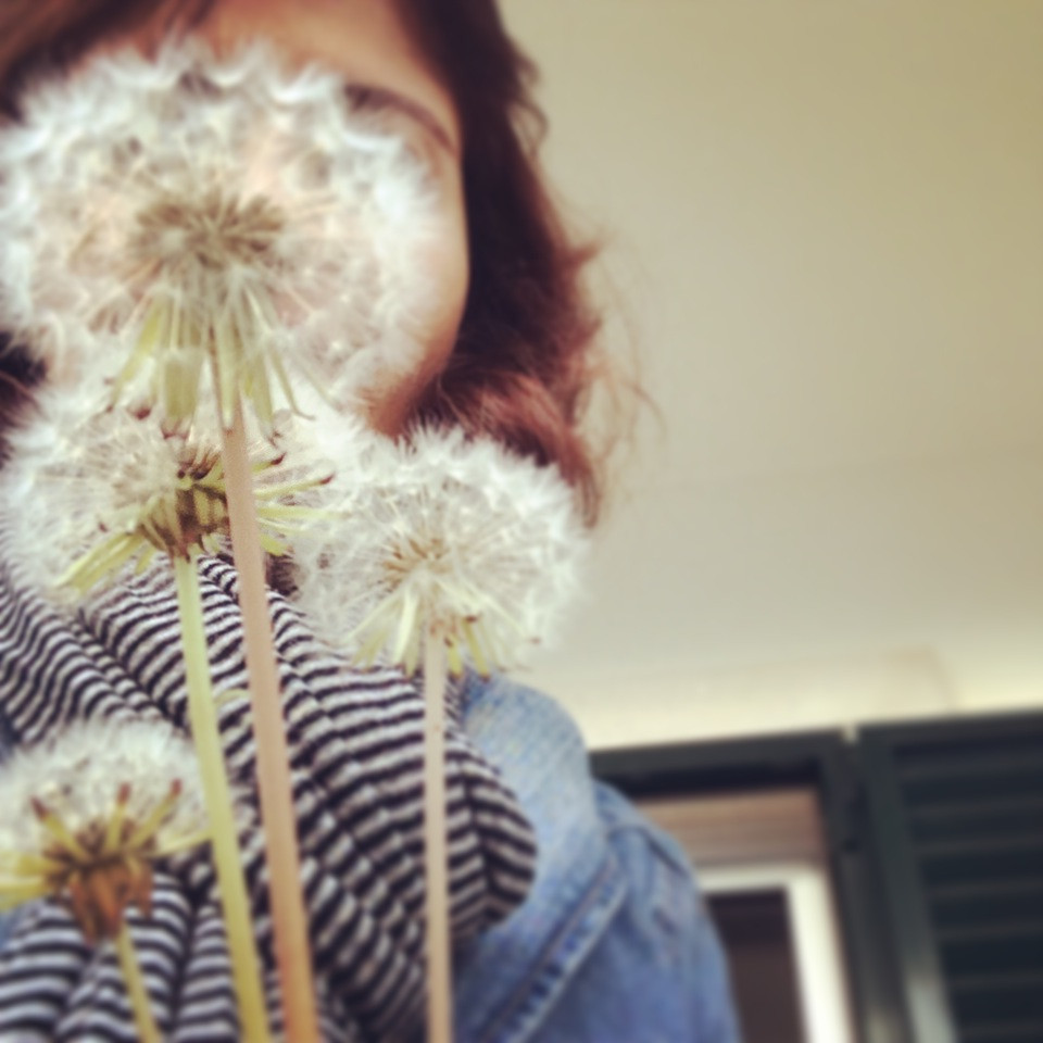 IMG_3213.JPG IMG_3213.JPG