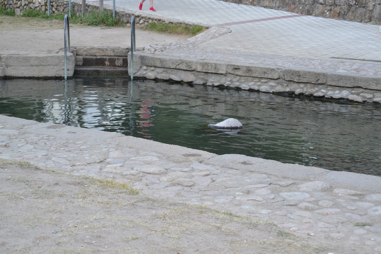 DSC_0185.JPG DSC_0185.JPG