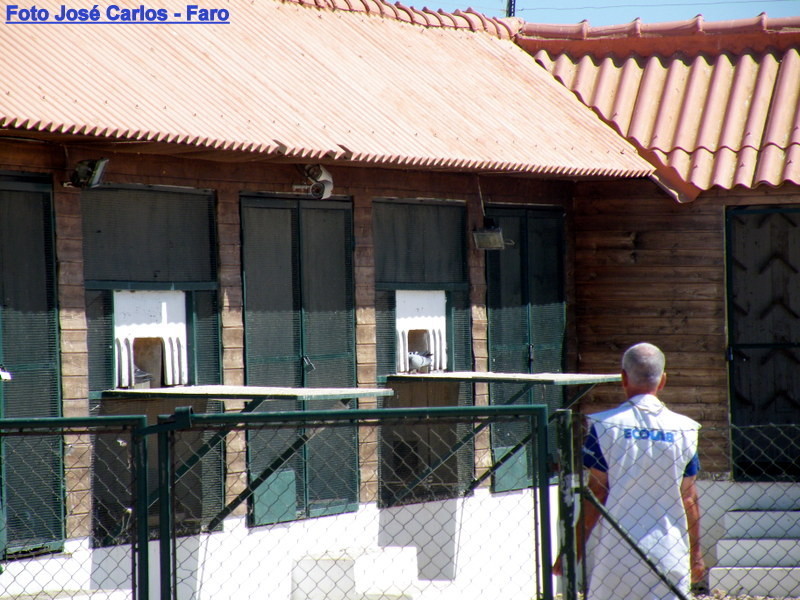 Derby Faro 2017 042.JPG