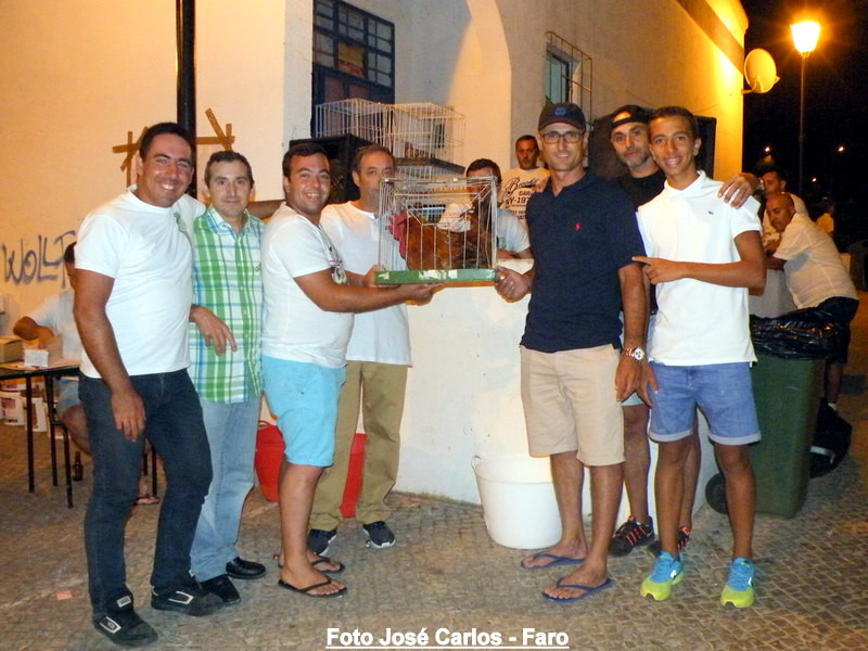 Leilão de Paderne 2016 030.JPG