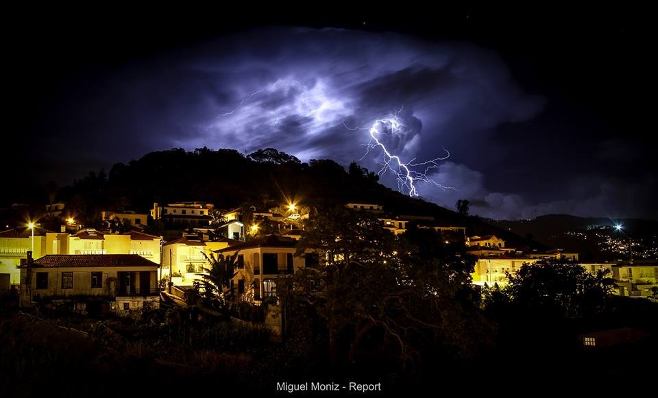 12122442_10203992570053178_680717207172910504_n.jp