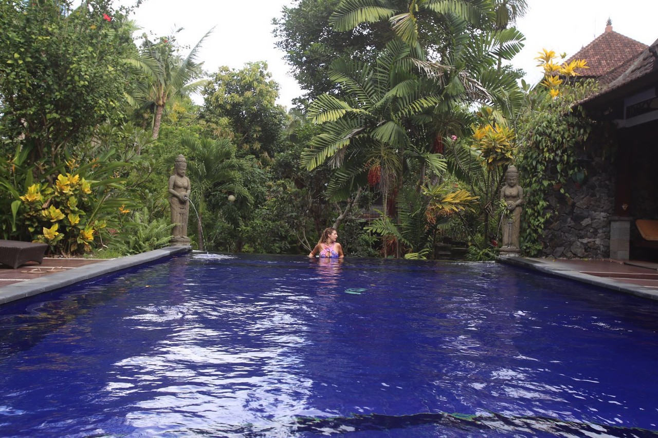 image.jpeg image.jpeg