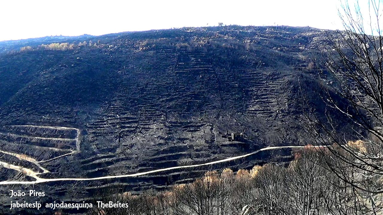 Da Nacional 18     6.jpg