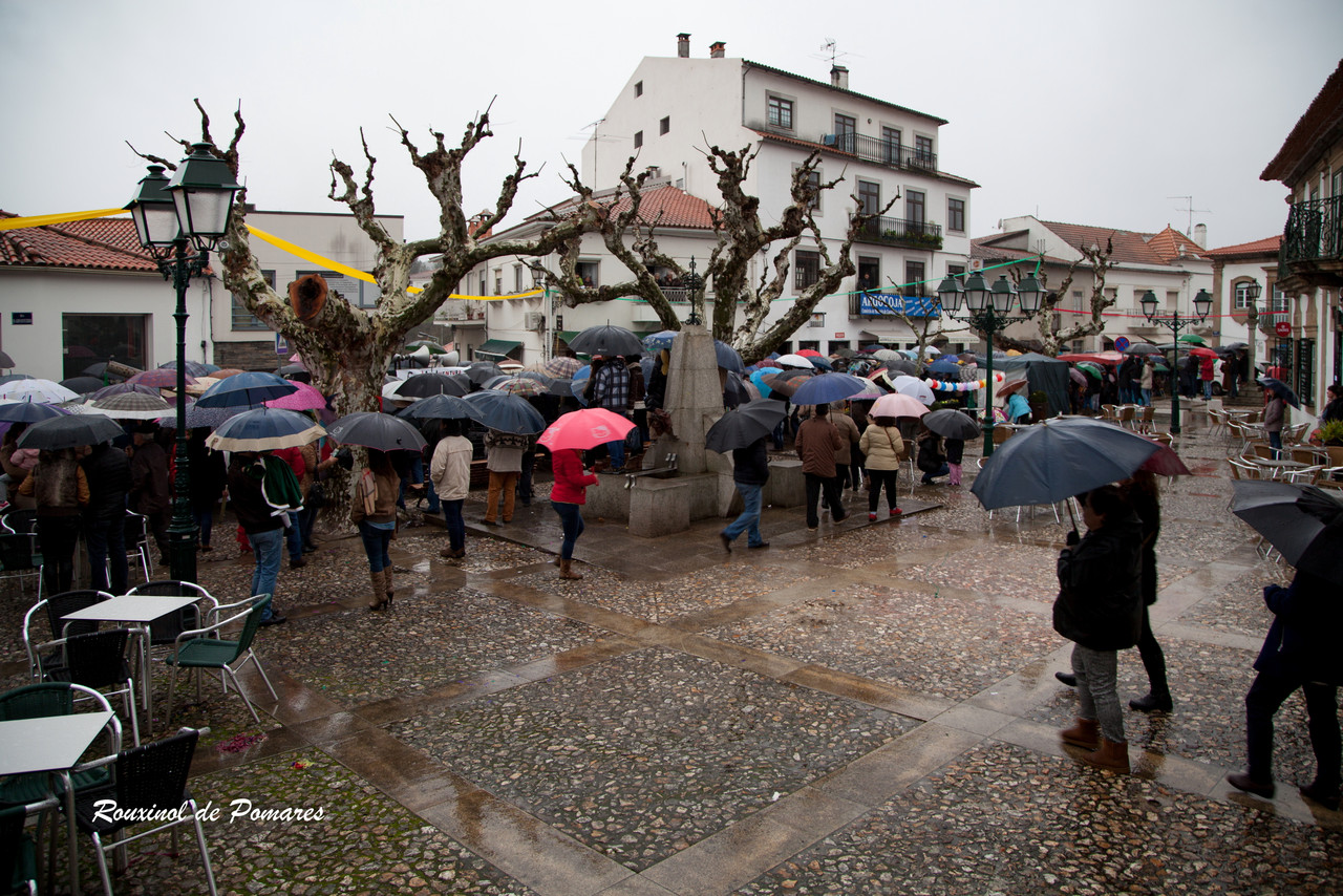 Carnaval de Côja 2016 (1)