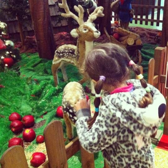 12366488_10207474235586349_336783916588365431_n.jp