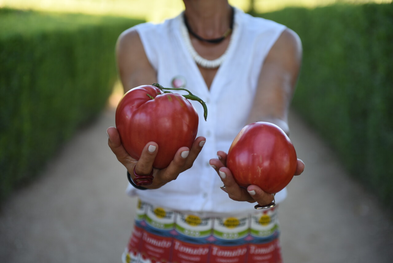 Livro do Tomate Coração de Boi do Douro ganha prémio internacional 