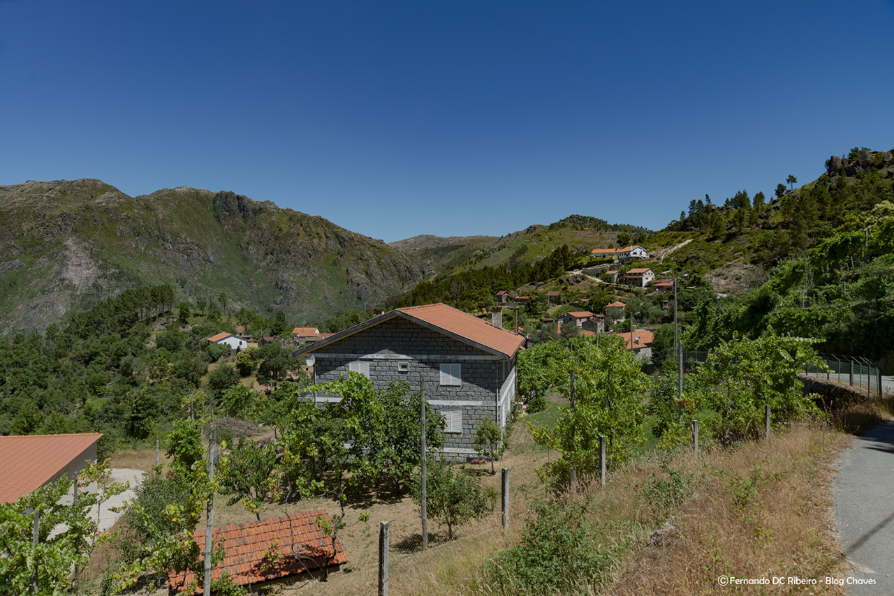 1600-chelo (21)-video.jpg 1600-chelo (21)-video.jpg