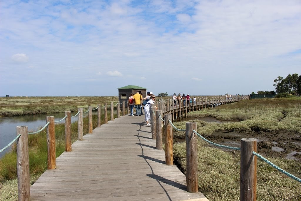 PASSEIO AETCF 2019 (63).jpg