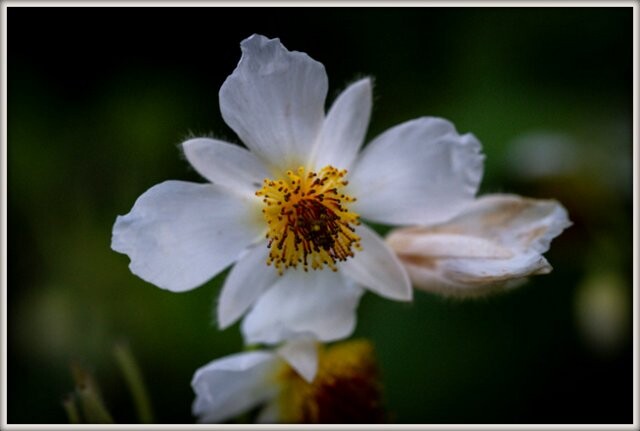 336680300_580166194059875_8707198379300566761_n fl