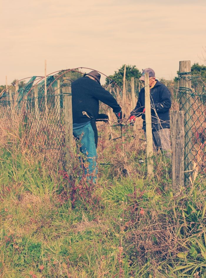 Por terras de Baco (1).jpg
