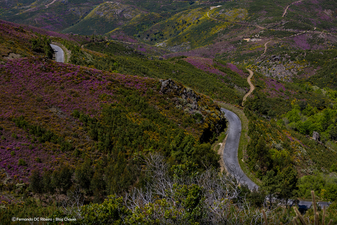 aniversario-15 (12).jpg