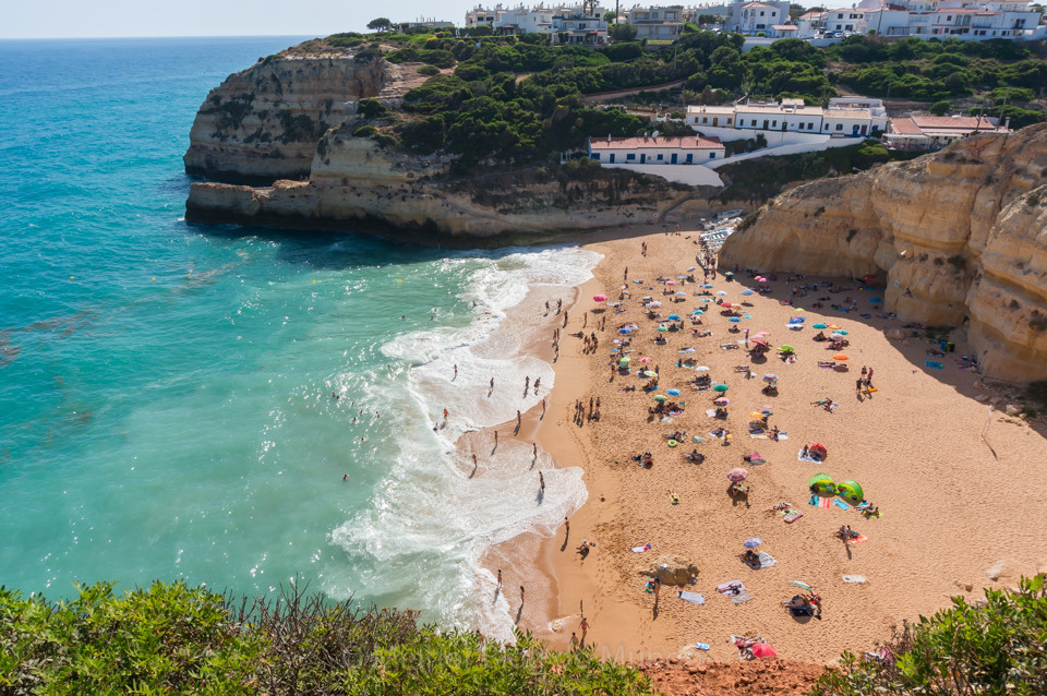 DSC09988.jpg DSC09988.jpg