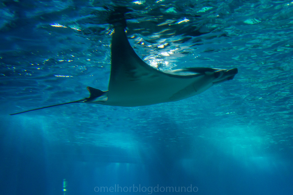 DSC00183.jpg DSC00183.jpg