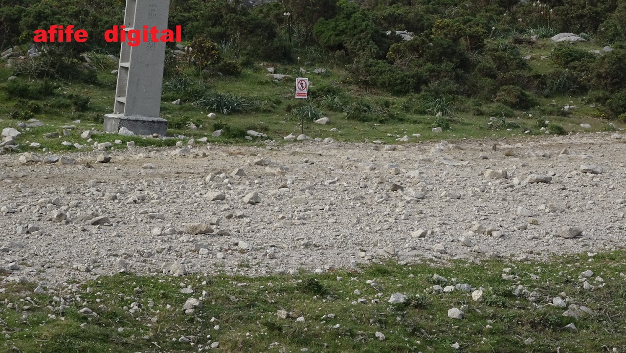 DSC05560.JPG DSC05560.JPG