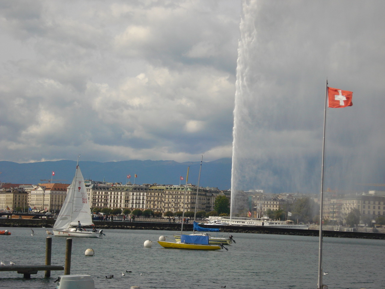 DSC09997.JPG DSC09997.JPG