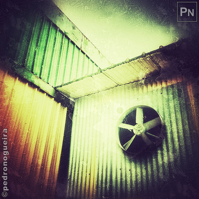 Nov_2017_007b 650px.jpg