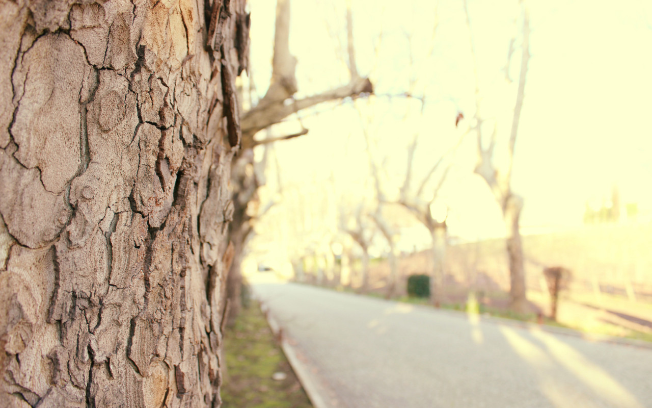 The Wine House Hotel - Quinta da Pacheca