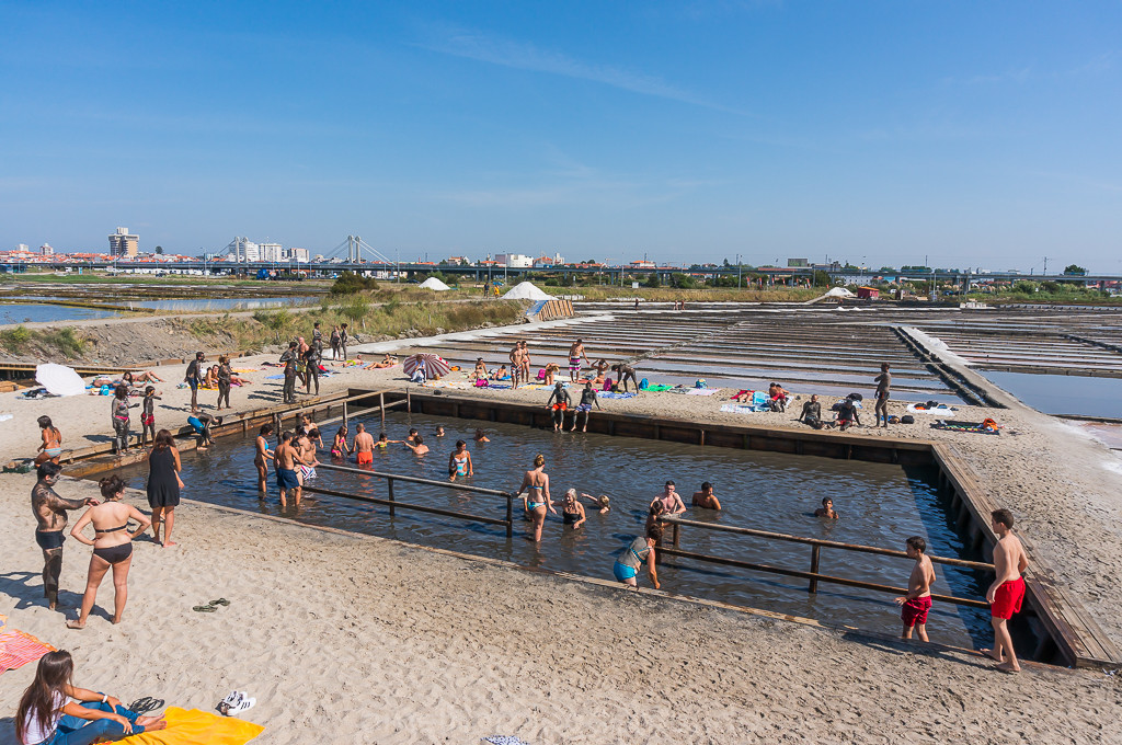 DSC04984.jpg DSC04984.jpg