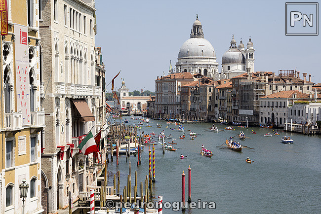 _MG_0940 650px.jpg _MG_0940 650px.jpg