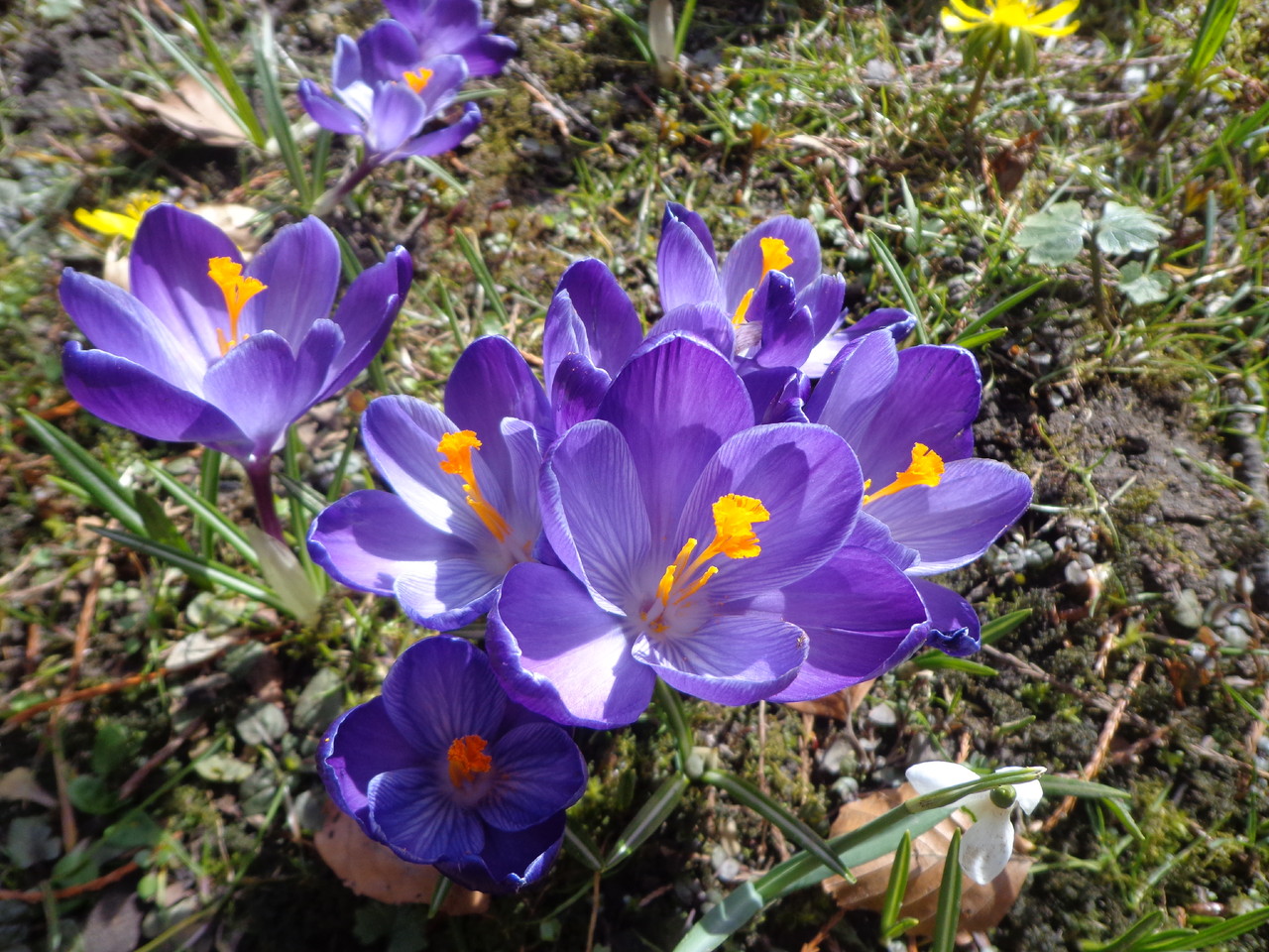 DSC03174.JPG DSC03174.JPG