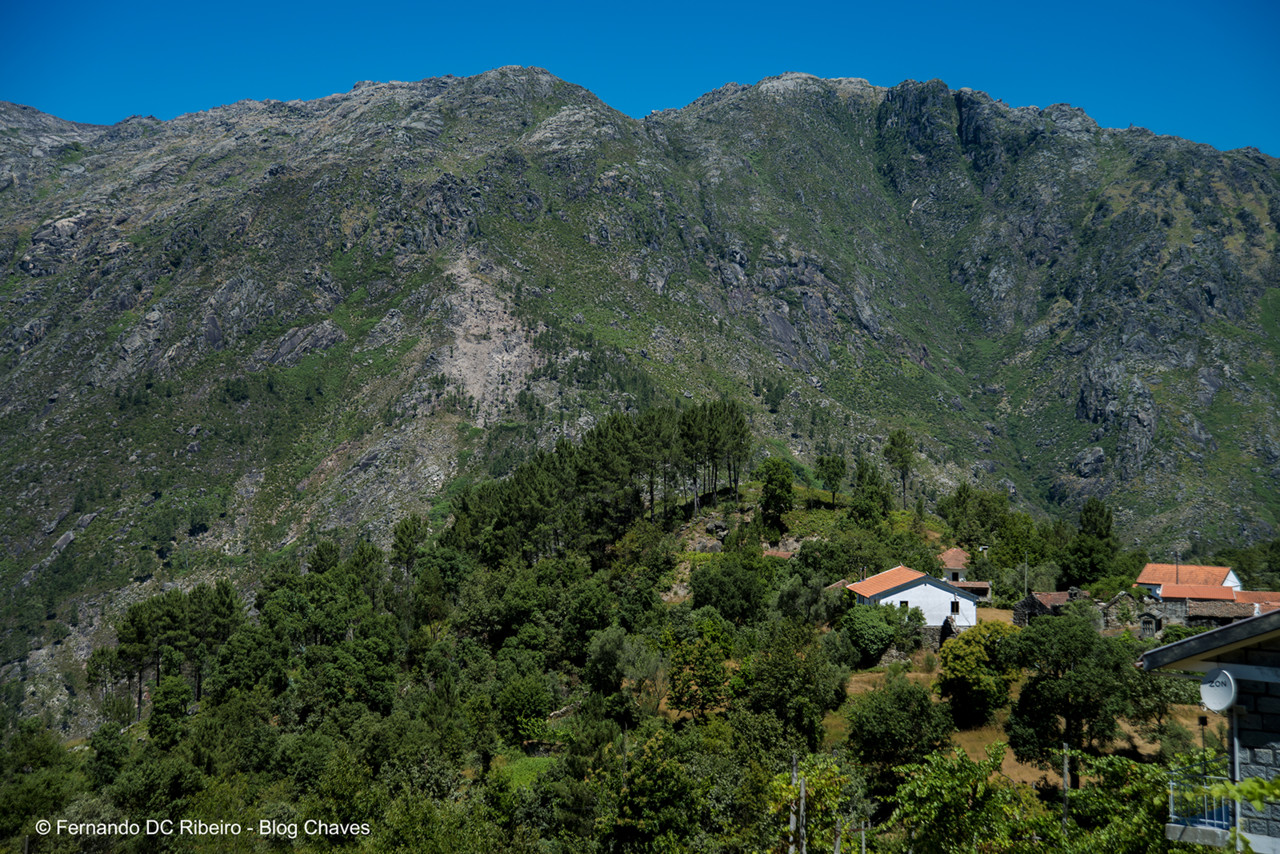 1600-chelo (22).jpg 1600-chelo (22).jpg