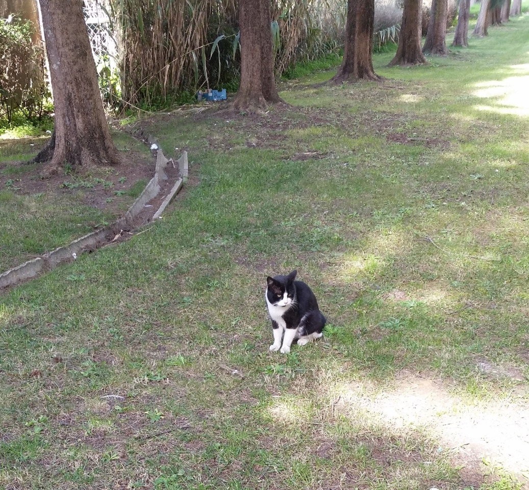 B20022019.jpg B20022019.jpg