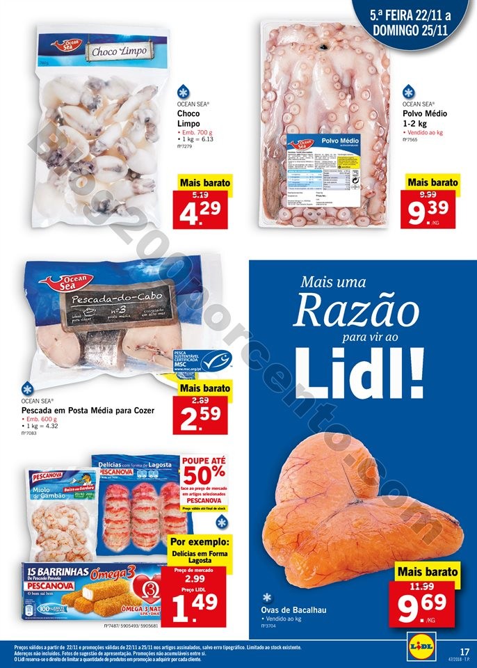 lidl 19 novembro_016.jpg
