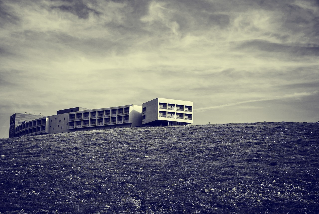 DSC_0223 - cópia copy - cópia.jpg