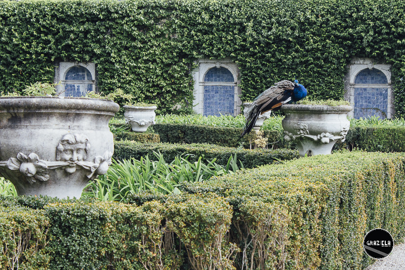 Tapada_da_Ajuda_Lisboa-001582.jpg Tapada_da_Ajuda_Lisboa-001582.jpg