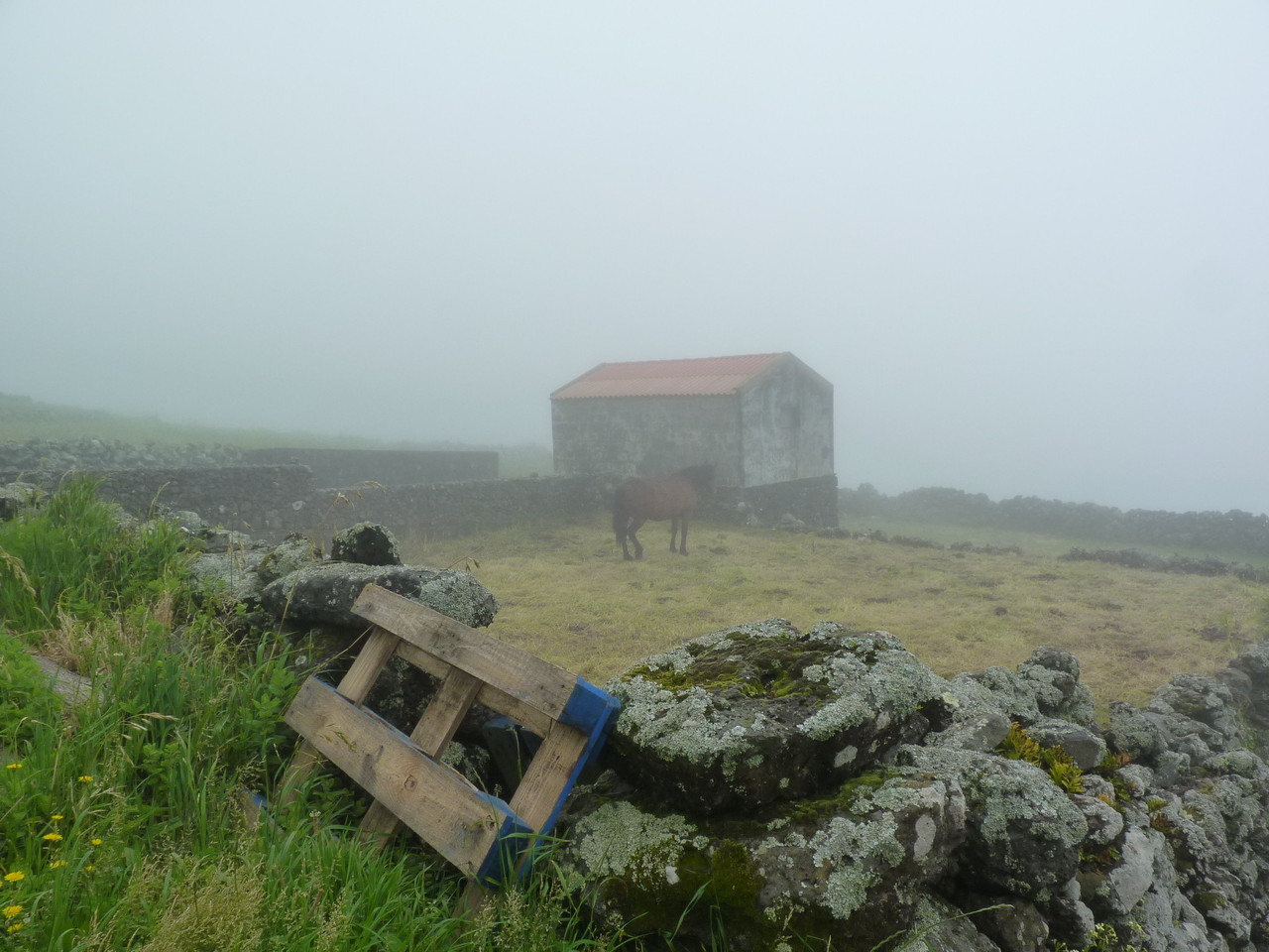 Regresso ao Corvo 1.JPG