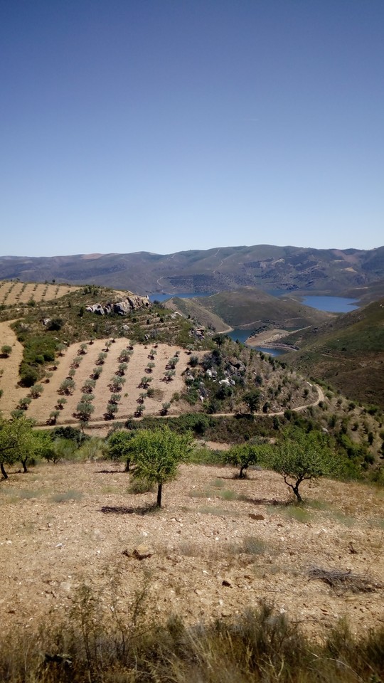 IMG_20170701_152022.jpg IMG_20170701_152022.jpg