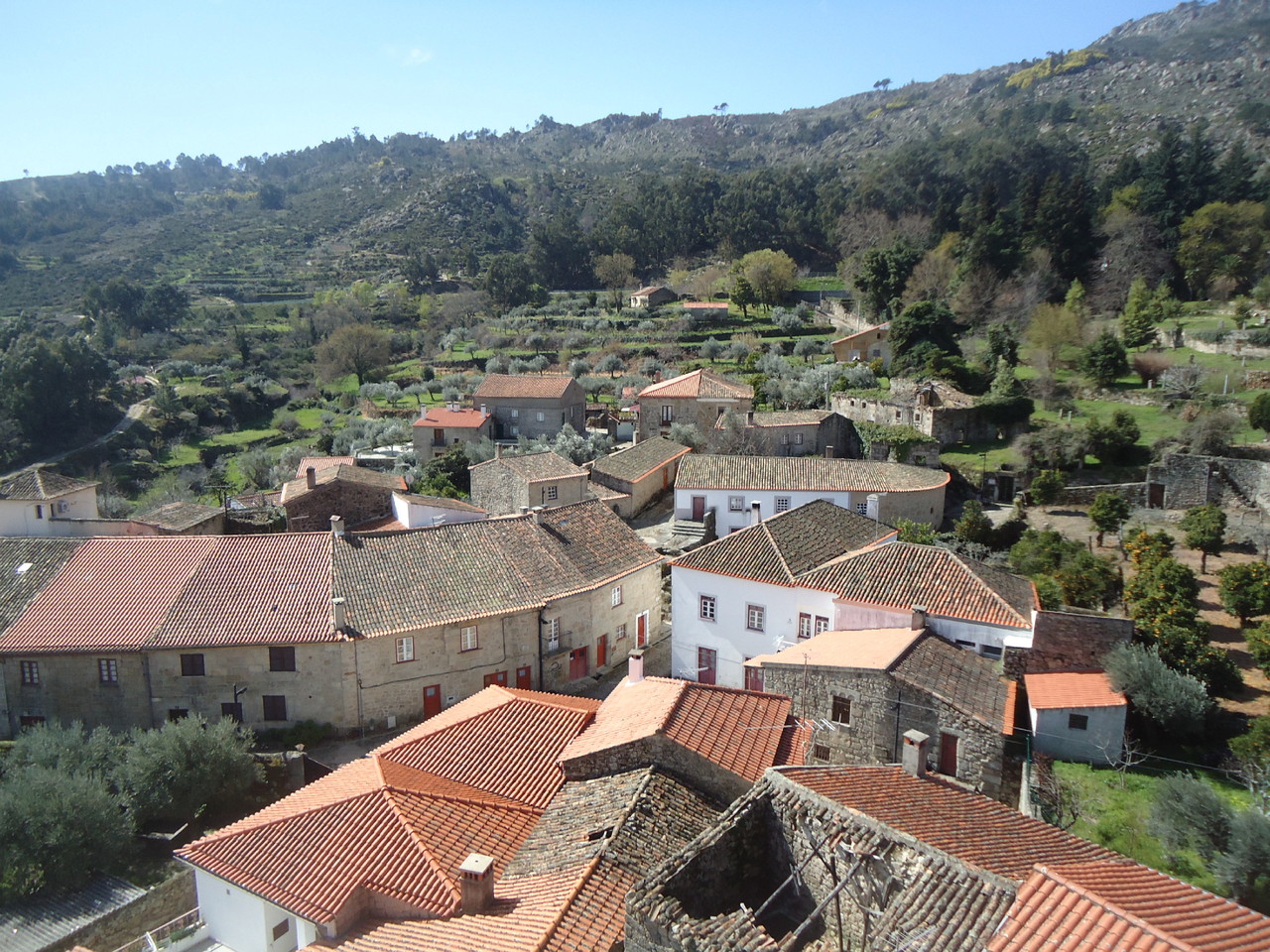 DSC07581.JPG DSC07581.JPG