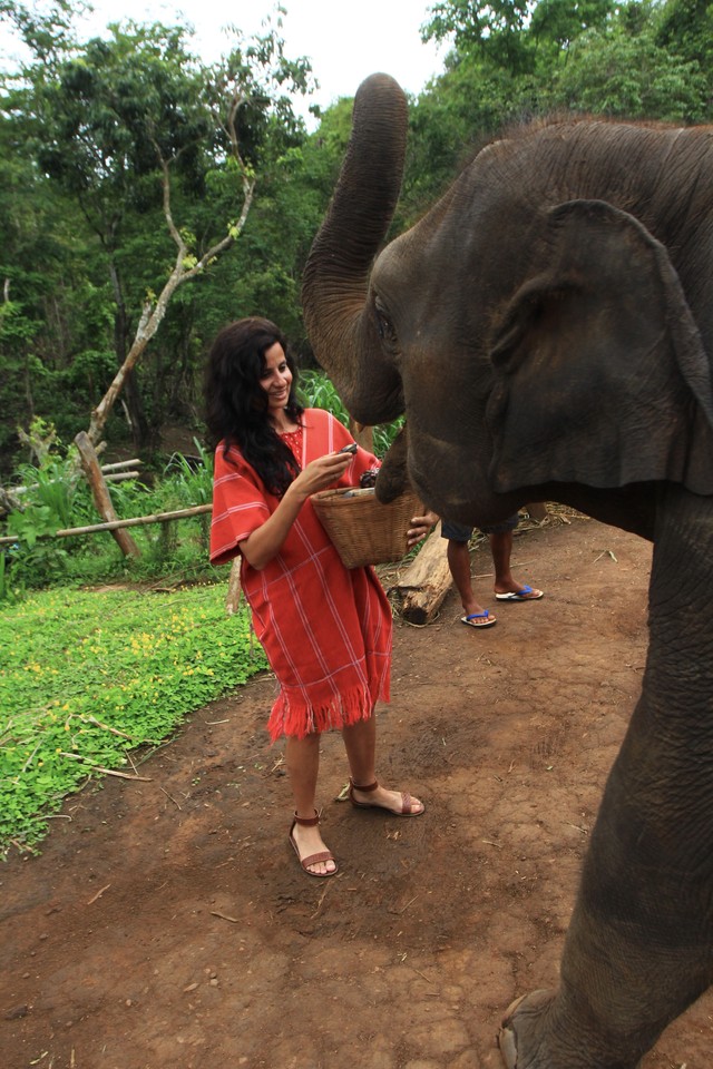 IMG_0003.jpg IMG_0003.jpg