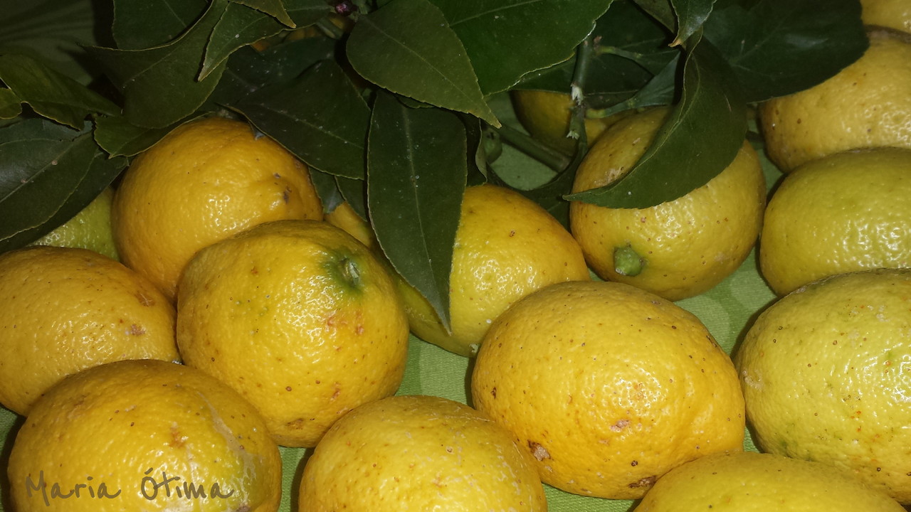 Limões_Maria Ótima.jpg