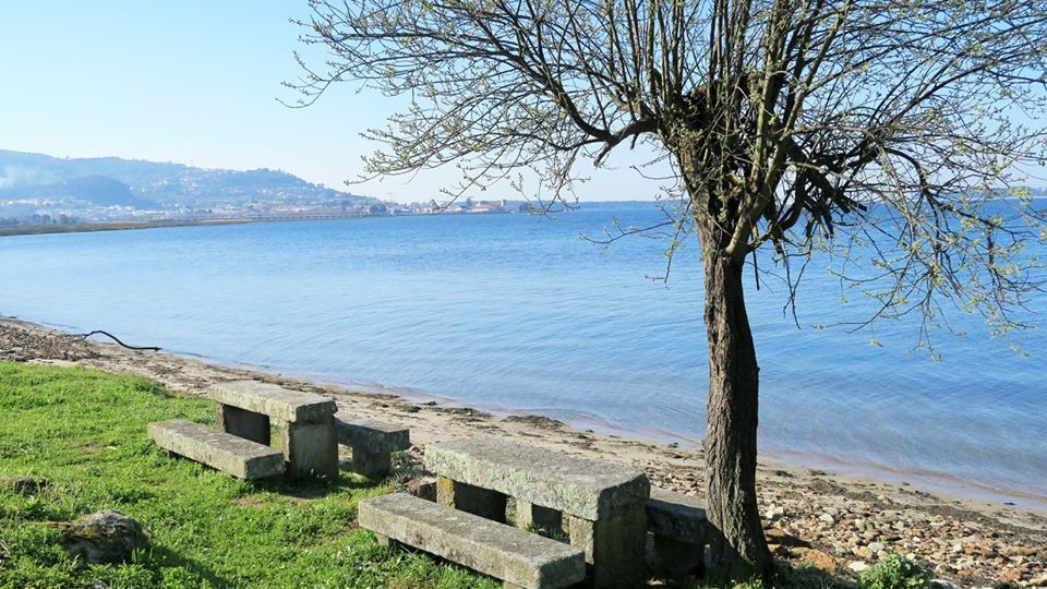 28276676_1863338930343867_6313469029082921557_n.jp